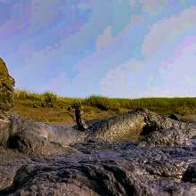 Clifford Anderton: 3 New Mud Galleries!