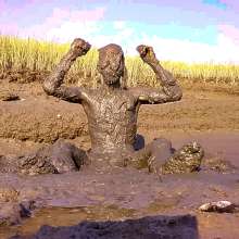Clifford Anderton: 3 New Mud Galleries!