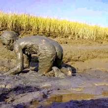 Clifford Anderton: 3 New Mud Galleries!