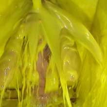 bosunbob: Gorgeous gunge virgins in a strip race to avoid a sliming