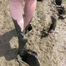FoxWolf: Avillains First Estuary Adventure
