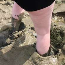 FoxWolf: Avillains First Estuary Adventure