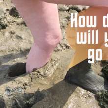 FoxWolf: Avillains First Estuary Adventure