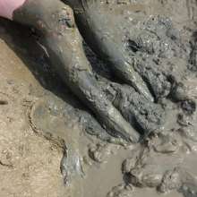 FoxWolf: Bare Feet in Very Deep Mud Pit