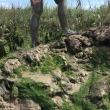 FoxWolf: Bare Feet in Very Deep Mud Pit