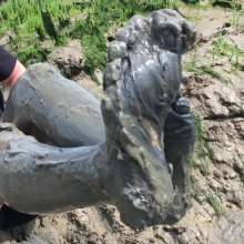 FoxWolf: Bare Feet in Very Deep Mud Pit