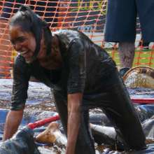 jkoshOne: Cute gravy wrestling brunette
