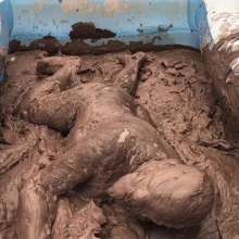 MuddyMcMudd: Mud Pit 2017