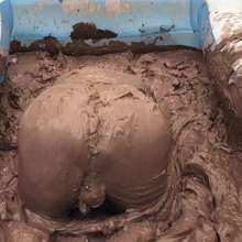 MuddyMcMudd: Mud Pit 2017