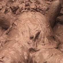 MuddyMcMudd: Mud Pit 2017