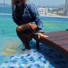 Wet_look_elena: Stockings and Tights in the Pool