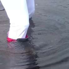 WetandMuddy: Video 54--A Whiter Shade of Pale