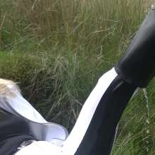 WetandMuddy: Video 54--A Whiter Shade of Pale