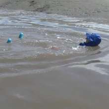 WetandMuddy: Video 55--Rhapsody in Blue
