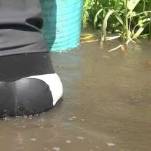 WetandMuddy: Video 56--Third Time Lucky