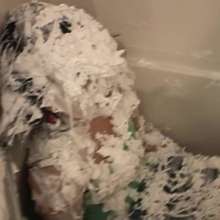 Alumi: The cutest messy duo in Japan: Mai and Maria in "Fun in the Tub"