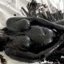 Messygirl: Two More New Messygirl Downloads