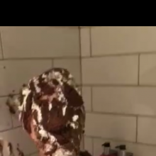 CreamMeAgain: New video on my profile