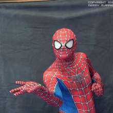 WildThang: New Download: Spiderman Day Quiz