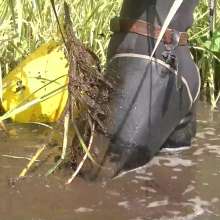 WetandMuddy: Video 75--Rub'd up the Right Way