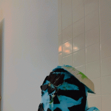 BatmanBeginsRules: 