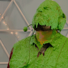 BatmanBeginsRules: Ycdtotv Stage Director Green Slimed