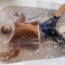 wetfoto.com: new store set at wetfoto
