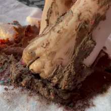 JennysPerfectPaws: Chocolate Rainbow Cake Mush