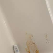 MuddyCock: Next Naked WAM Suggestion