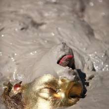 FOXY: Golden in mud