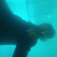 Wet Live Team: Heels and Coat Got Completely Wet in the Pool!  Wetlook Girl