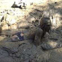 Jayce: Humiliated Then Horny!  Prim and Glam to Muddy and Cumming!