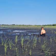 stryker: coal mining tailing pond research (coal slurry/sludge)