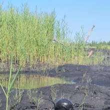 stryker: coal mining tailing pond research (coal slurry/sludge)