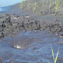 stryker: coal mining tailing pond research (coal slurry/sludge)