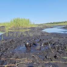 stryker: coal mining tailing pond research (coal slurry/sludge)