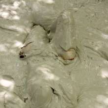 dlodoski: Ludella, Addicted to Mud--Photos