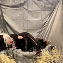 Slimed Models: Our Recreation of the Cruella Molasses Scene