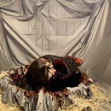Slimed Models: Our Recreation of the Cruella Molasses Scene
