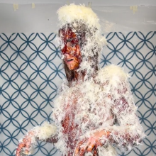 Slimed Models: Erin Tar and Feathered and Slopped Butt Naked by Her Ex-Boyfriend!