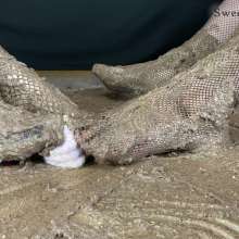 SweetLittleSquishes: Two Girls One Cake Foot Smash Party ASMR