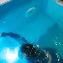 Wet Live Team: Underwater Jeans and Natalia's Grace in the Pool!  Wetlook