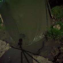 Swamp Angel: 71 Mud Moon Ritual Cape and Cows