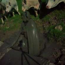 Swamp Angel: 71 Mud Moon Ritual Cape and Cows