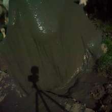 Swamp Angel: 71 Mud Moon Ritual Cape and Cows