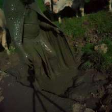 Swamp Angel: 71 Mud Moon Ritual Cape and Cows