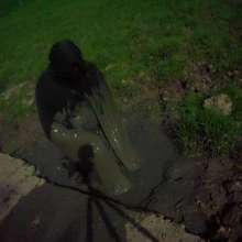 Swamp Angel: 71 Mud Moon Ritual Cape and Cows