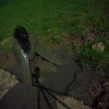 Swamp Angel: 71 Mud Moon Ritual Cape and Cows