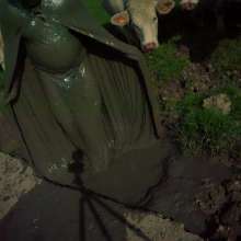 Swamp Angel: 71 Mud Moon Ritual Cape and Cows
