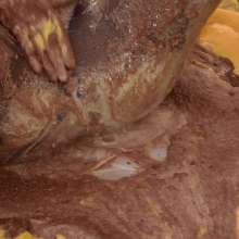 HotWamHD: Emily naked in Custard and Porridge Part 2 now in umd store